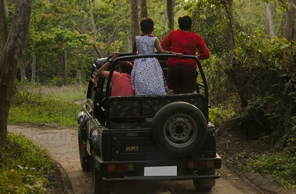 Fun Tour With One Elephant Safari