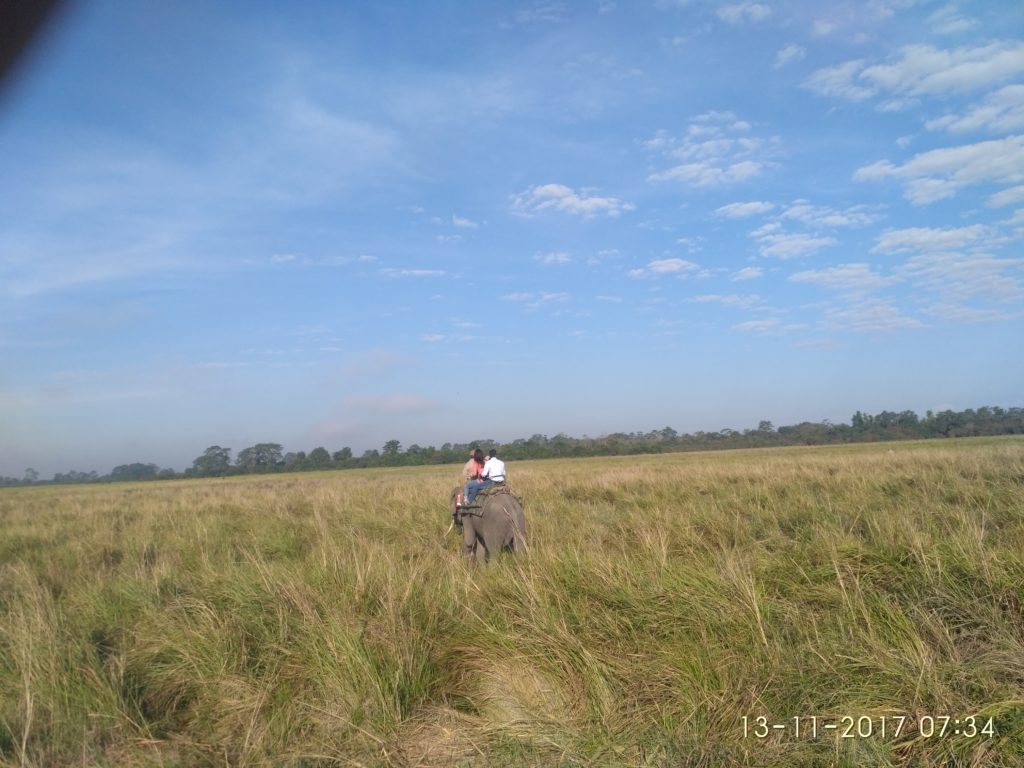 kaziranga national park