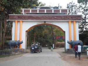 kaziranga park reopen for tourist