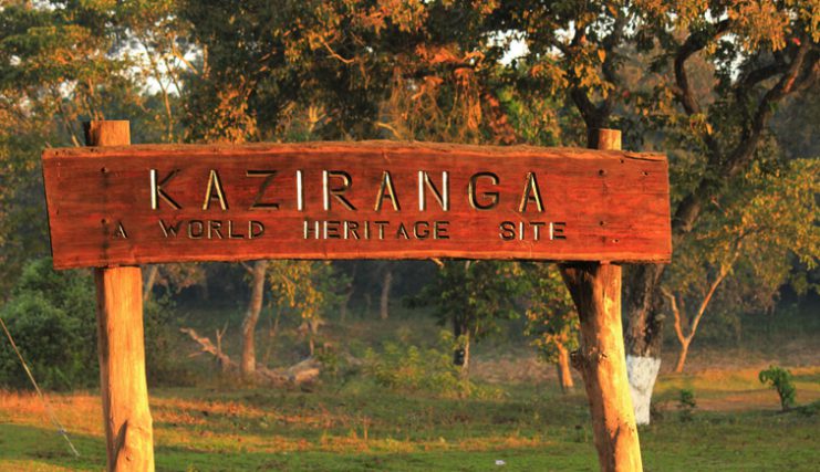 kaziranga national park open