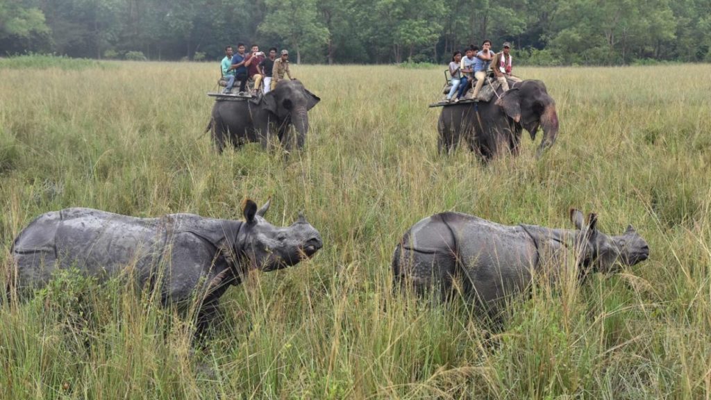 Kaziranga National Park at best price in Kolkata | ID: 7318077473