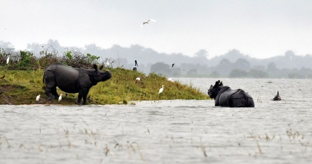 highlands in kaziranga national park