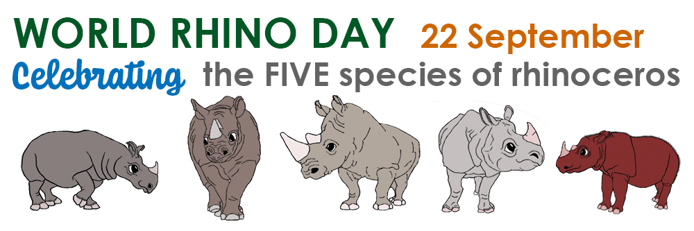 rhino day