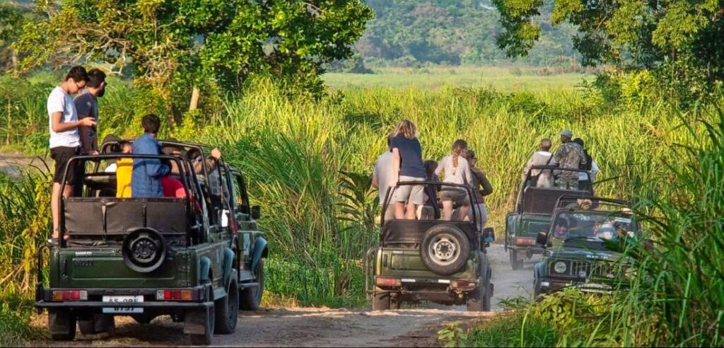 kaziranga safari range