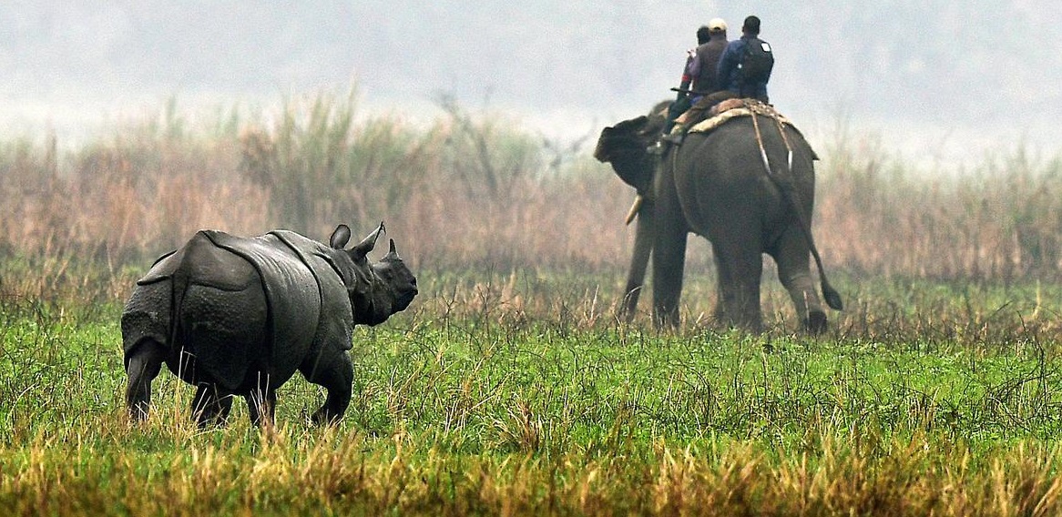 kaziranga from kolkata