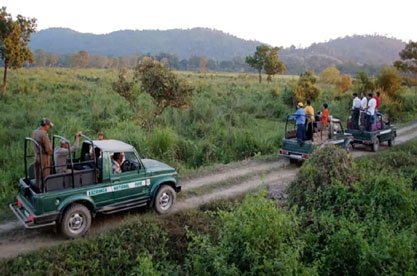 Jeep Safari & Transfer to Guwahati