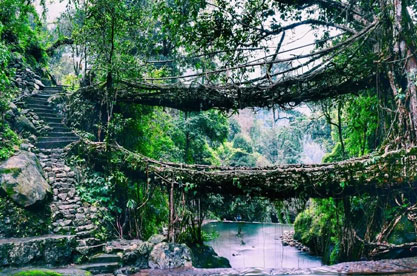 Shillong Sightseeing